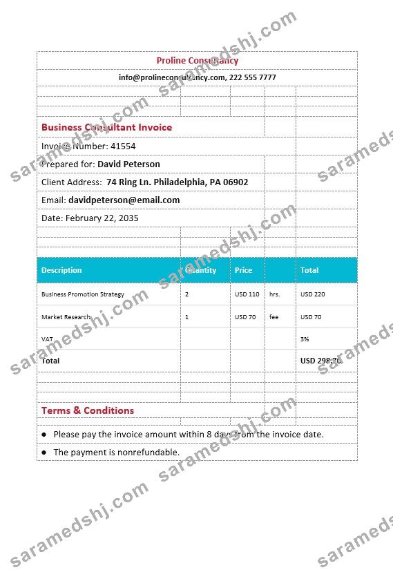 Business Consultant Invoice.